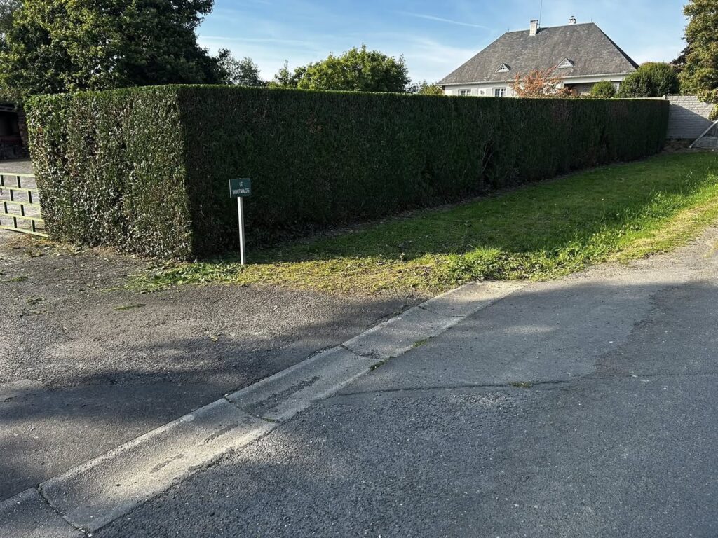 Haie rectangulaire taillée par Paysag & Nous dans le Cotentin