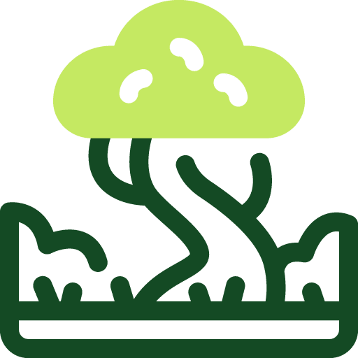 Chantier paysagisme Paysag & Nous - entretien de jardin en Normandie