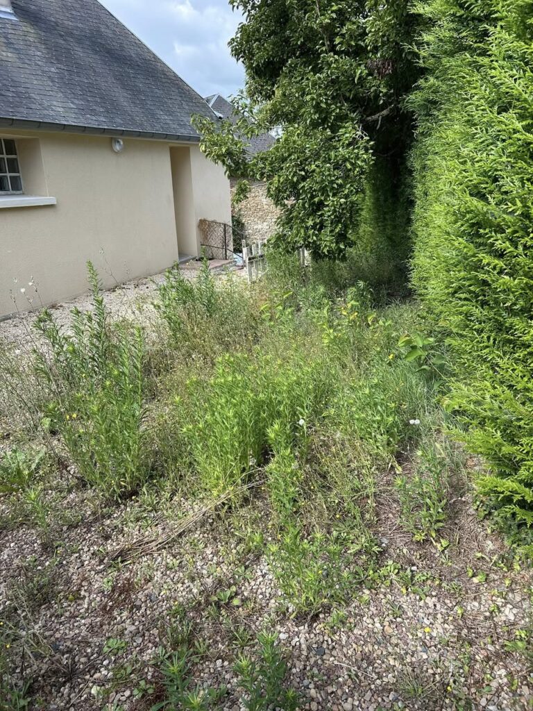 Terrain enherbé avant remise en état par Paysag & Nous
