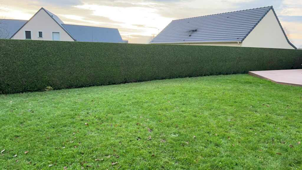 Haie taillée droite avec pelouse verte entretenue par Paysag & Nous en Normandie