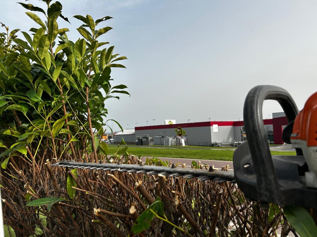 Taille de haie avec cisaille électrique par Paysag & Nous dans la Manche
