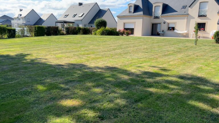 Pelouse fraîchement tondue en mulching devant maisons par Paysag & Nous