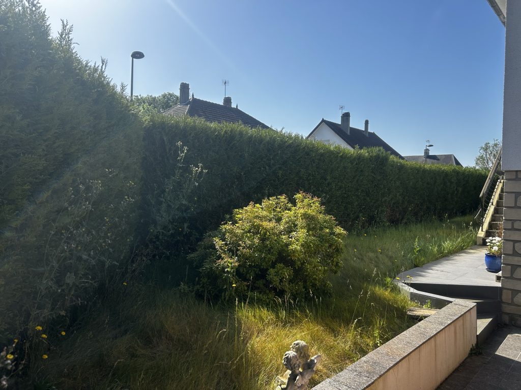 Rénovation de haie et entretien à Saint-Lô
