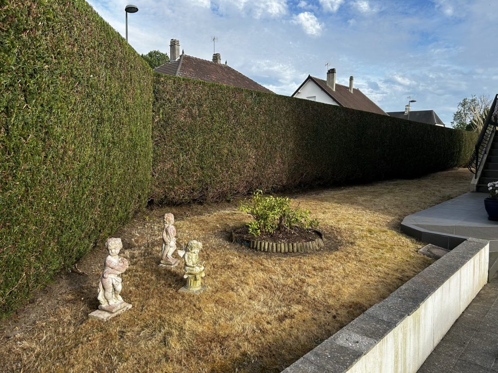 Rénovation de haie et entretien à Saint-Lô