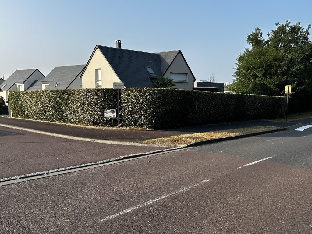 Nettoyage et taille de haies à Saint-Lô