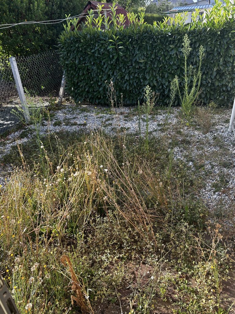 Nettoyage de jardin et taille haie à Saint-Lô