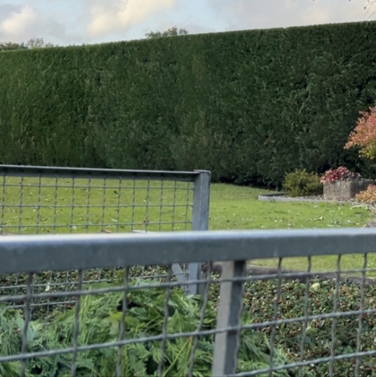 Évacuation branches taille haie : services à Percy-en-Normandie